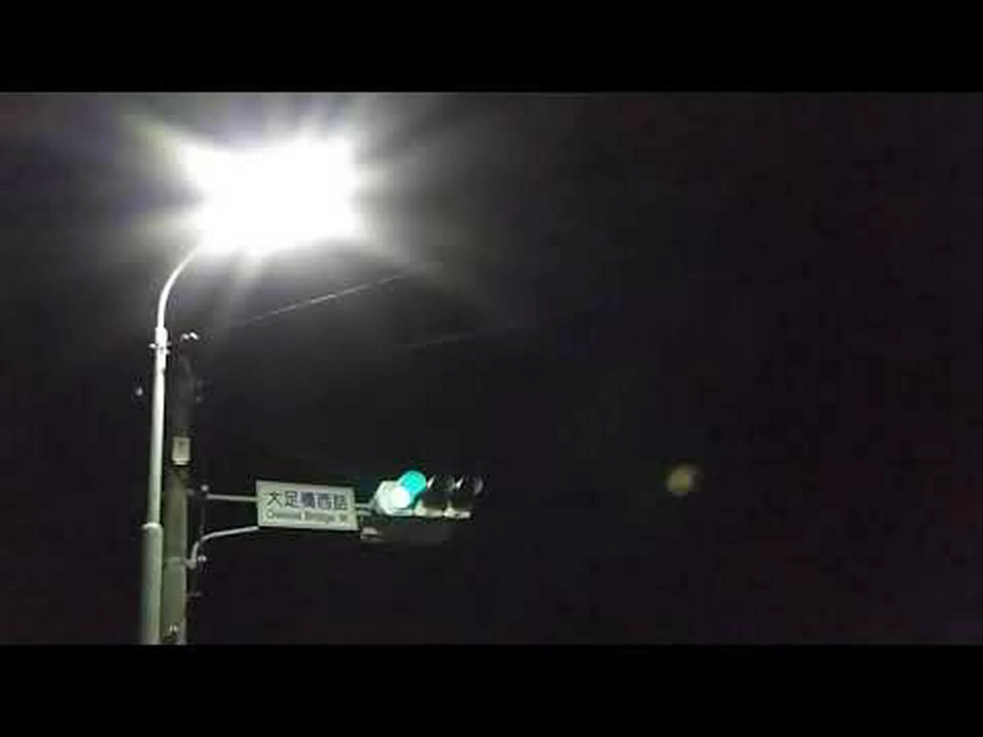 キクガシラコウモリには照明がありません キクガシラコウモリには照明がありません