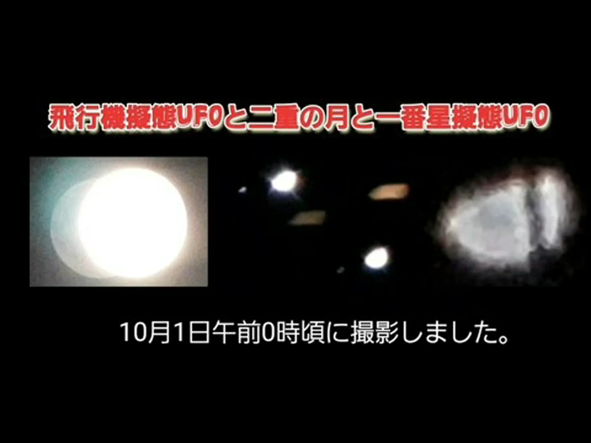 二重擬態 二重擬態