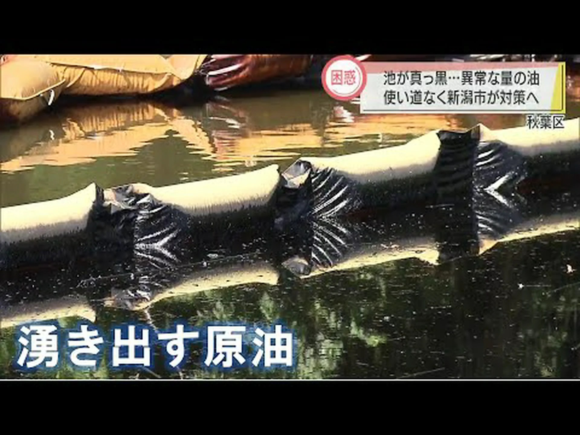 国立公園は今のところ安全:ヴィルンガでは石油掘削は禁止 国立公園は今のところ安全:ヴィルンガでは石油掘削は禁止