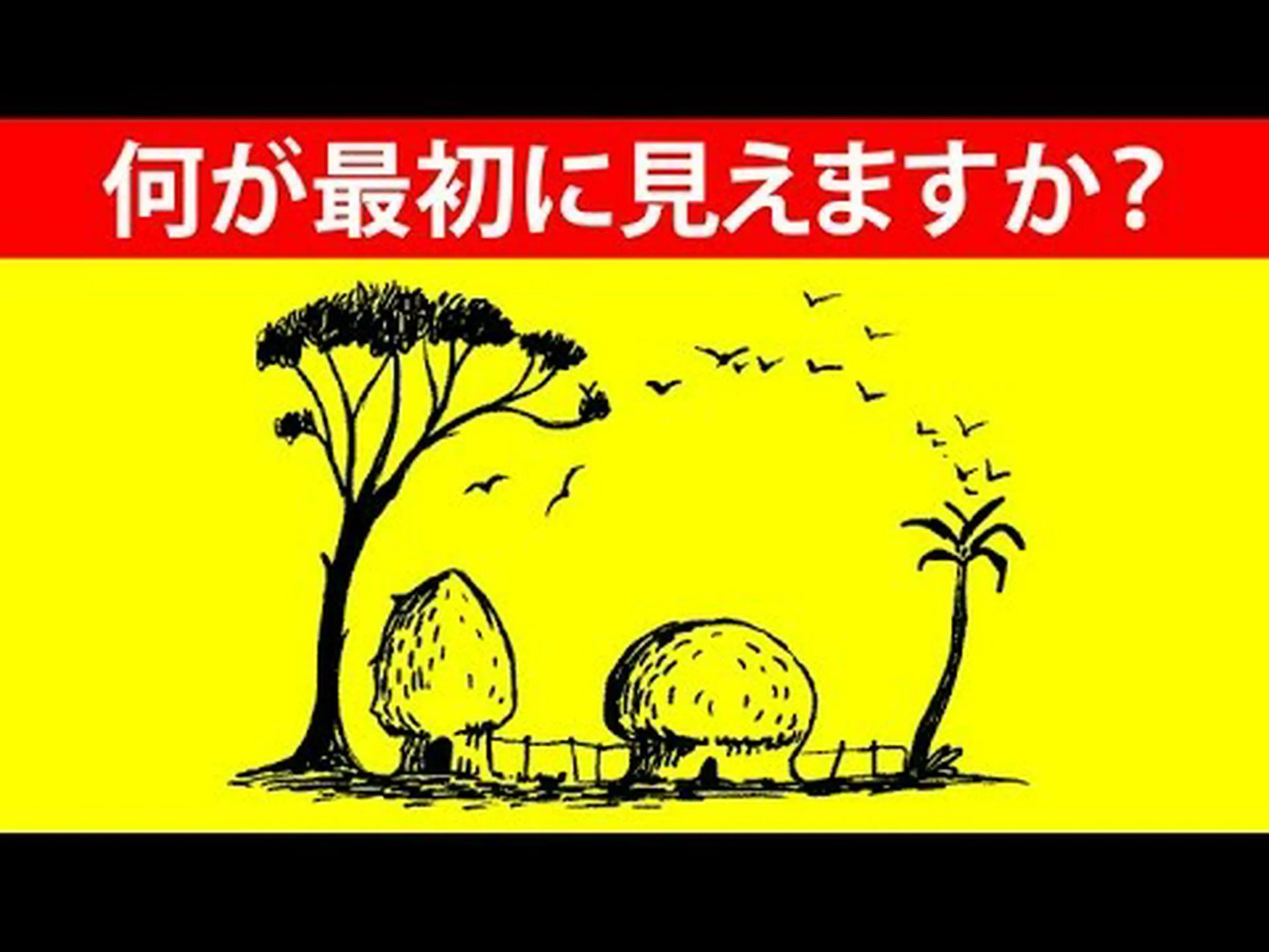洞察力に富んだボウル 洞察力に富んだボウル