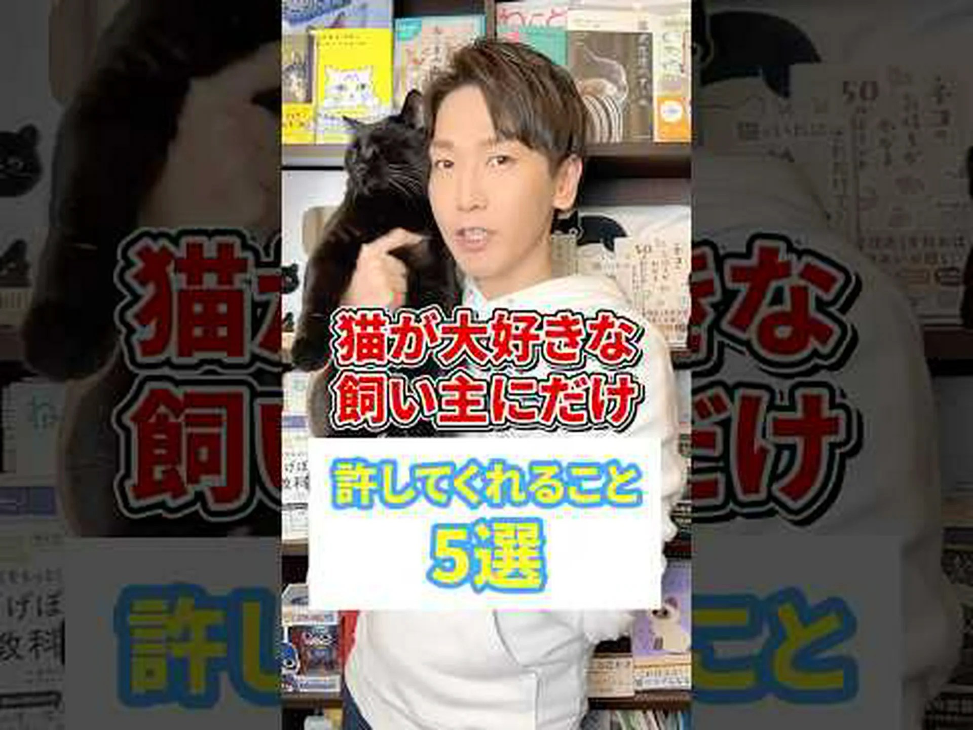 猫にも飼い主が必要です 猫にも飼い主が必要です