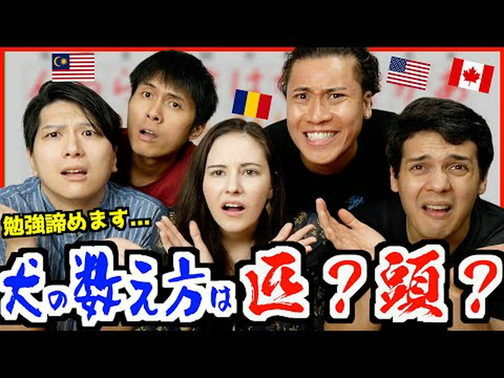 犬の脳は言語を区別できる 犬の脳は言語を区別できる