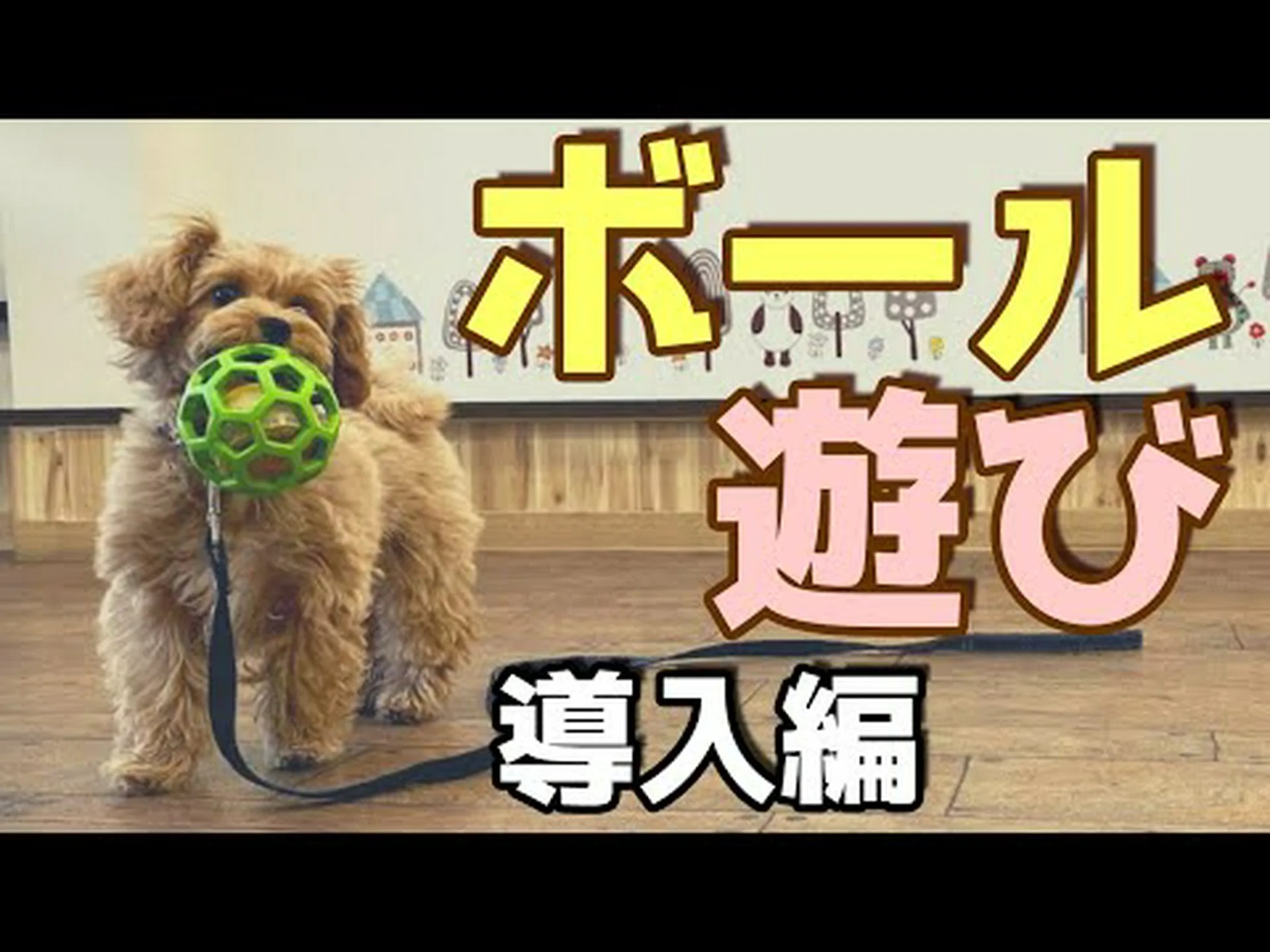 犬はボールをどのように定義するか 犬はボールをどのように定義するか