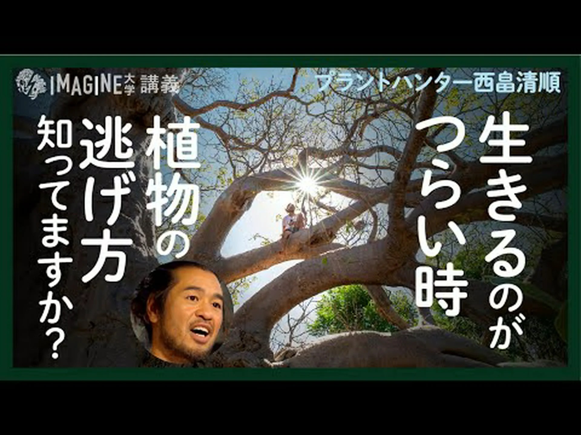 遺伝学:イネ科植物における特許盗難 遺伝学:イネ科植物における特許盗難