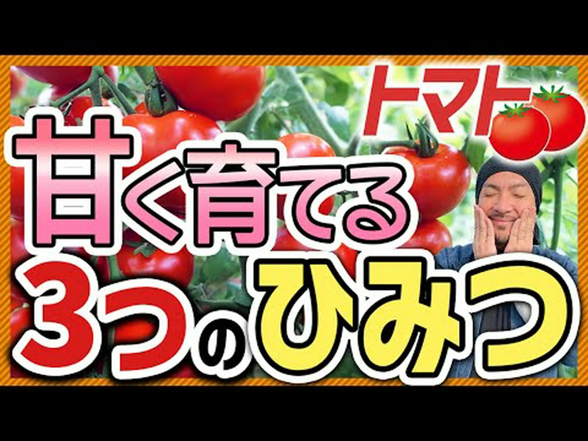 キノコと植物の友情がトマトを甘くする キノコと植物の友情がトマトを甘くする