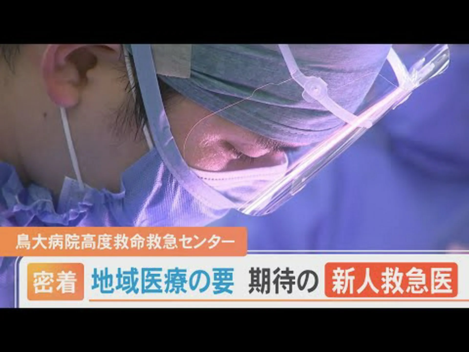 どうやら死んだ魚は救急医療に新たな道を示すはずだ どうやら死んだ魚は救急医療に新たな道を示すはずだ