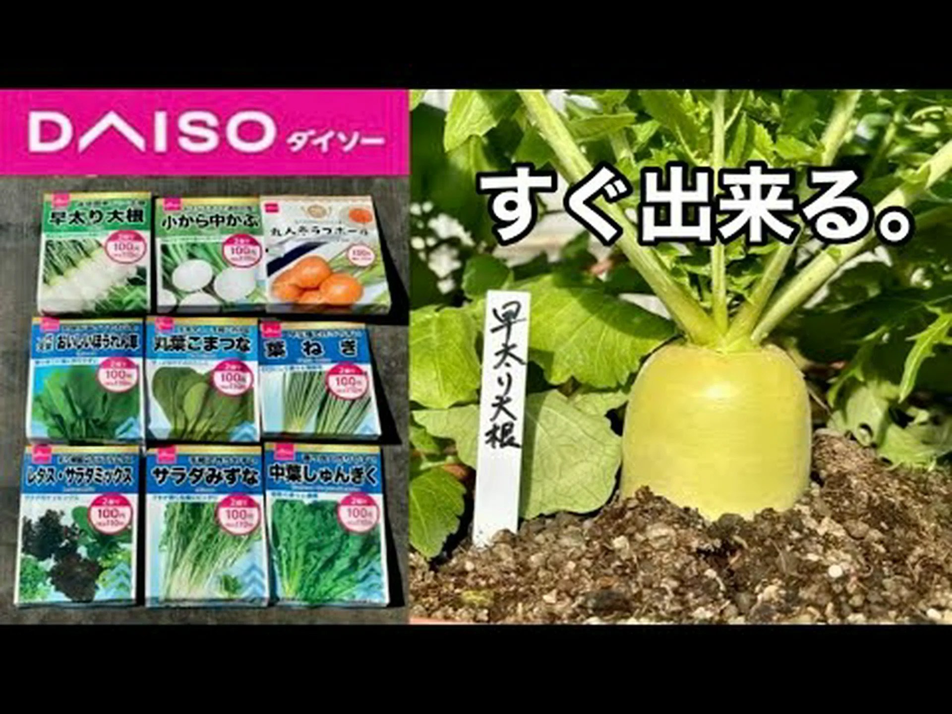 旅好きのコンテナ野菜 旅好きのコンテナ野菜