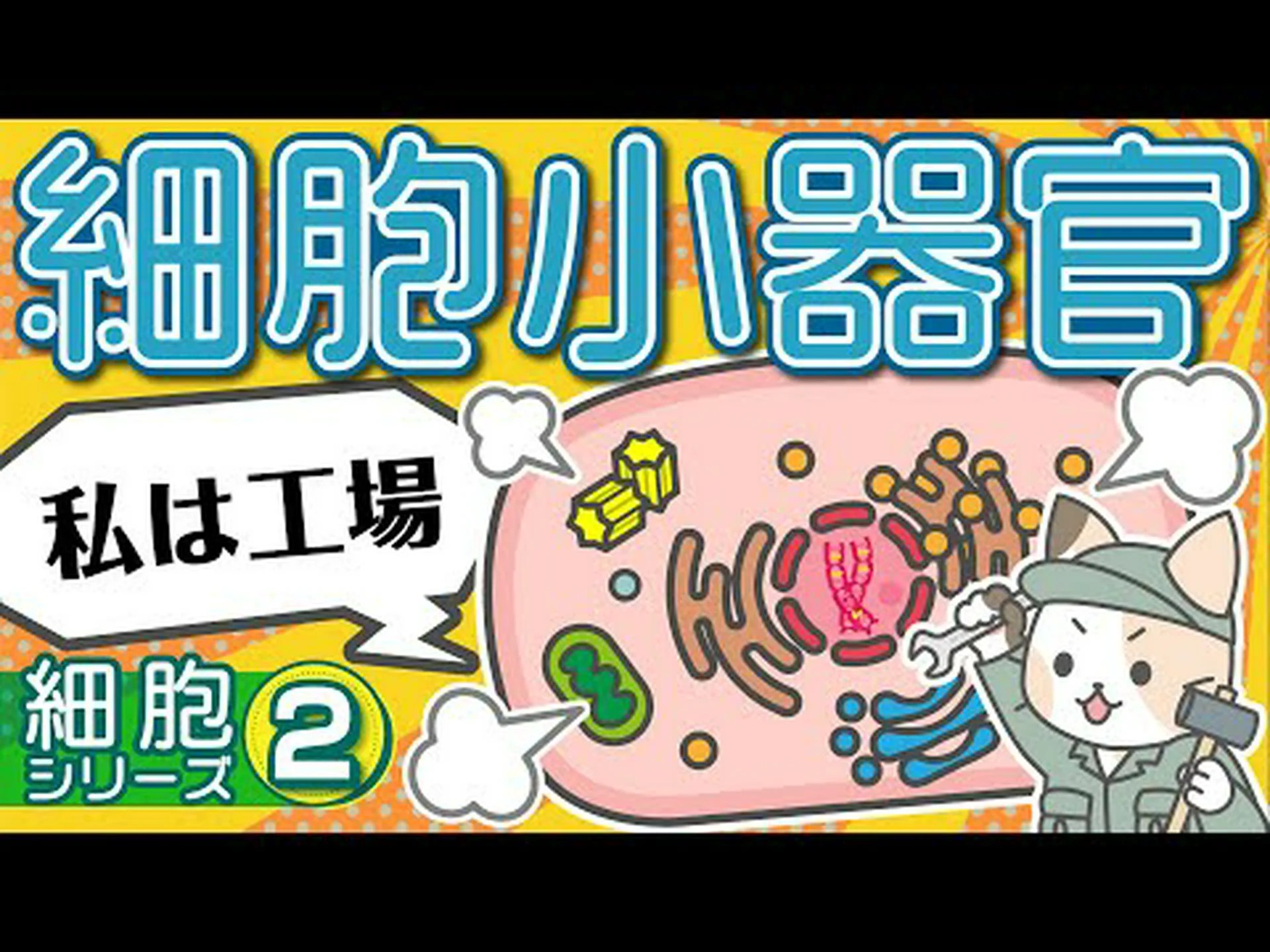 迷子になった細胞小器官 迷子になった細胞小器官