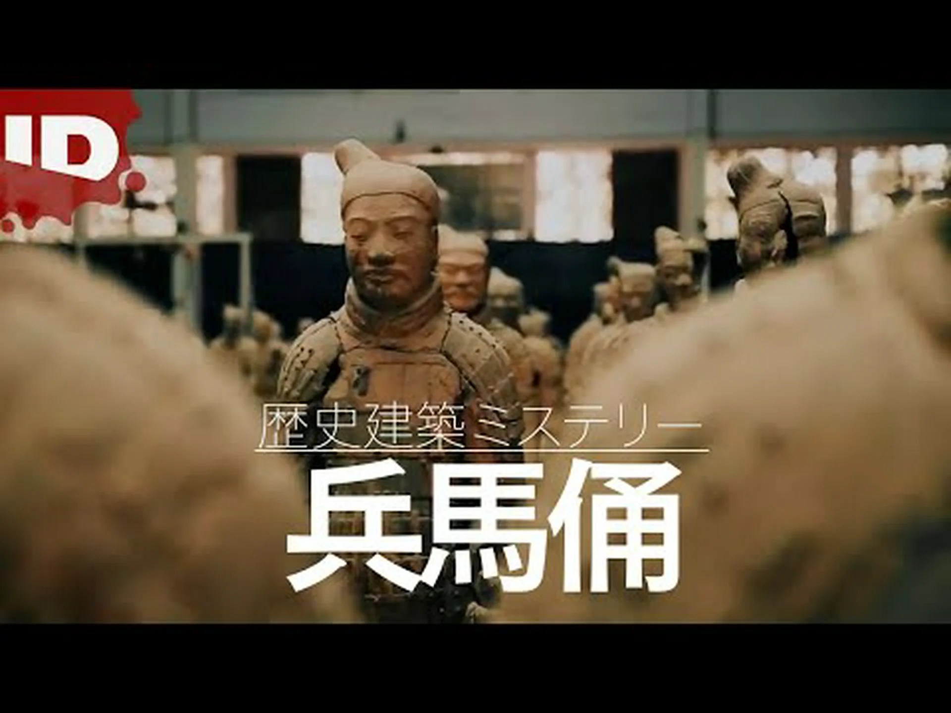 中国の兵馬俑の故郷をアリが脅かす 中国の兵馬俑の故郷をアリが脅かす