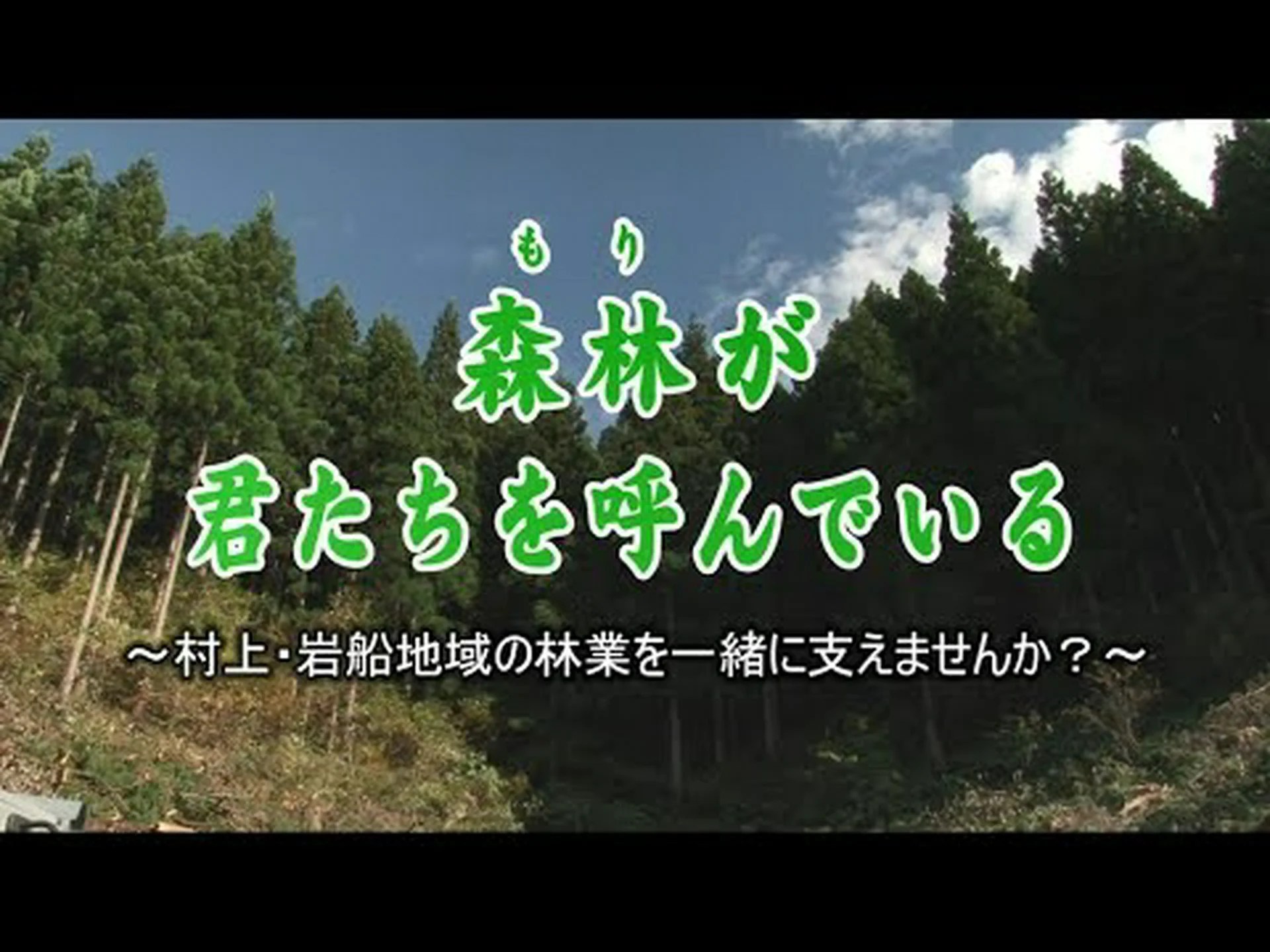 鳥たちはこうして植林を手伝っている 鳥たちはこうして植林を手伝っている