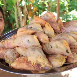 Resep Masak Kepala Ayam: Sajian Lezat dan Bergizi Resep Masak Kepala Ayam: Sajian Lezat dan Bergizi