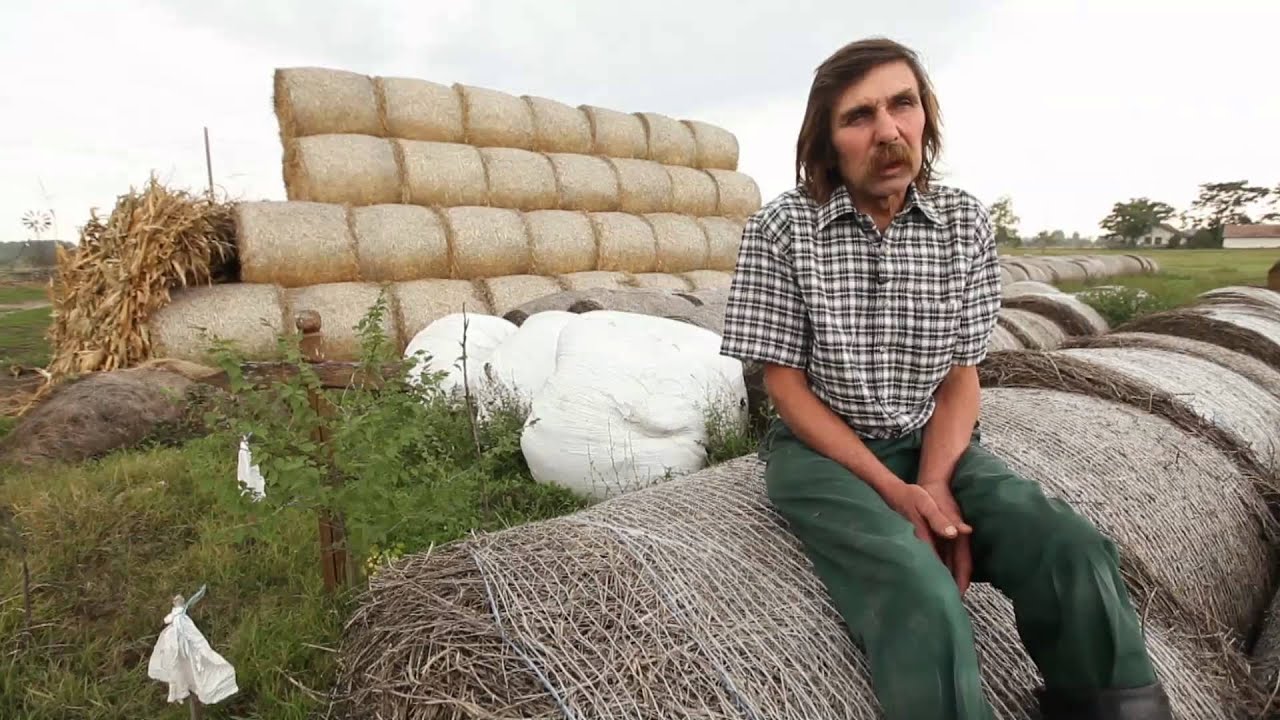 Városon kívüli találkozások (2014) Városon kívüli találkozások (2014)