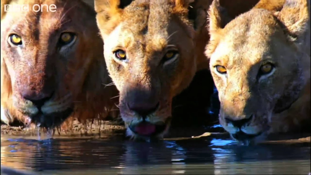 Milyen csodálatos a világ Milyen csodálatos a világ