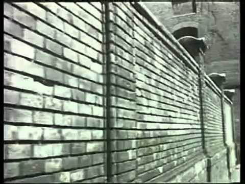 Ávósok: A kommunista párt terrorszervezete (1994) Ávósok: A kommunista párt terrorszervezete (1994)