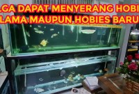 Cara Mengatasi Alga Hijau Di Air Hidroponik Cara Mengatasi Alga Hijau Di Air Hidroponik