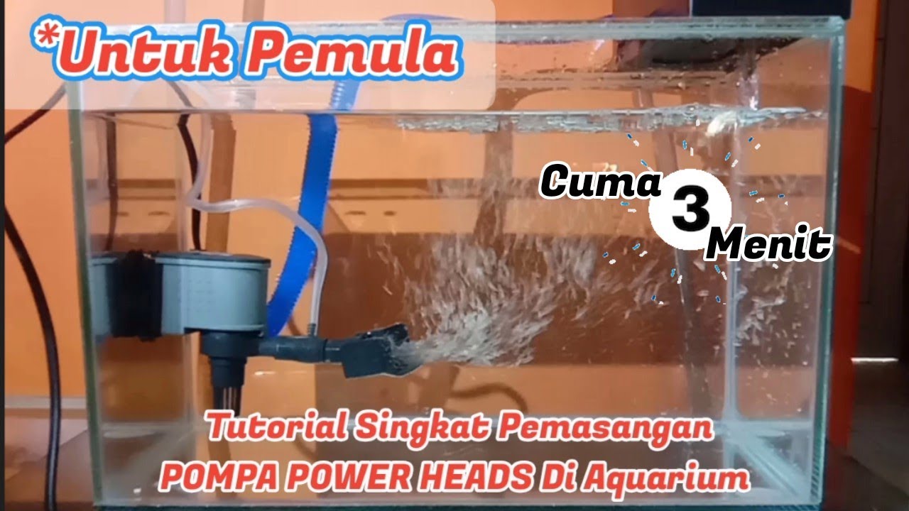 Cara Pasang Pompa Aquarium Untuk Hidroponik Cara Pasang Pompa Aquarium Untuk Hidroponik