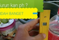 Cara Menjaga PH Air Pada Sistem Hidroponik Cara Menjaga PH Air Pada Sistem Hidroponik