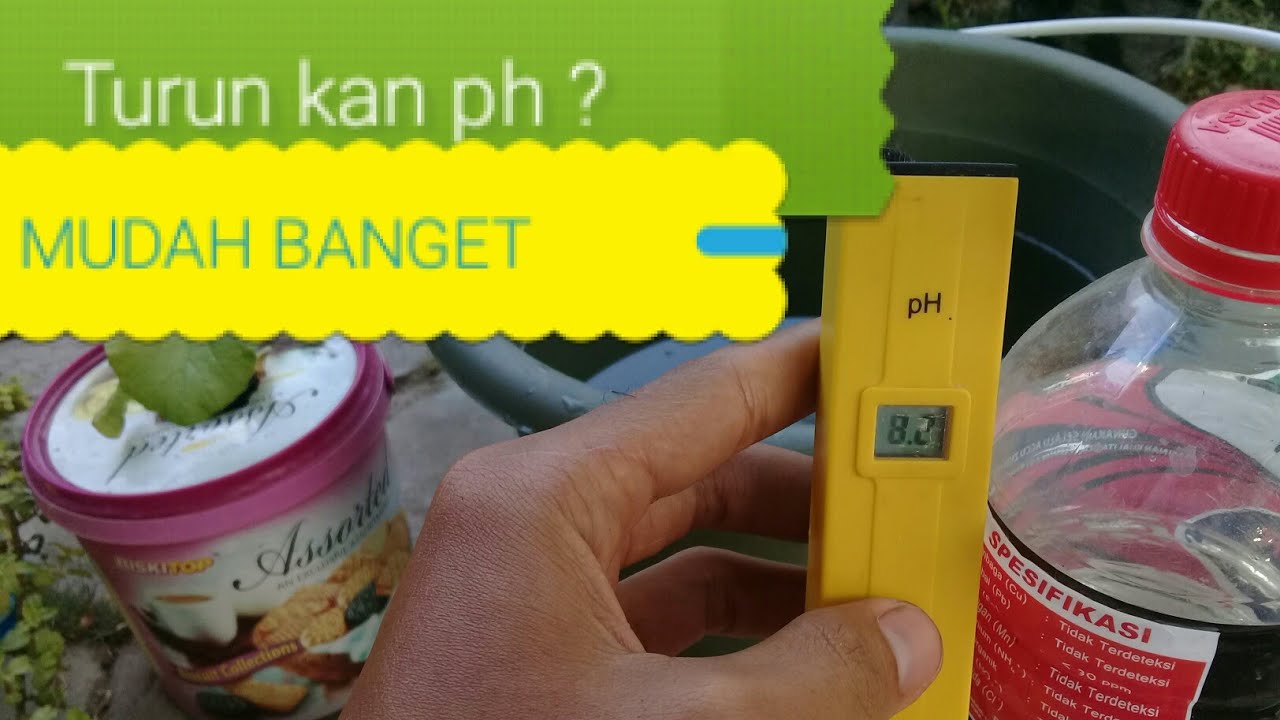 Cara Menjaga PH Air Pada Sistem Hidroponik Cara Menjaga PH Air Pada Sistem Hidroponik