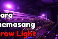 Cara Pasang Sistem LED Grow Light Untuk Hidroponik Indoor Cara Pasang Sistem LED Grow Light Untuk Hidroponik Indoor