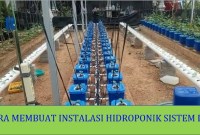 Cara Membuat Instalasi Hidroponik Outdoor Anti Hujan Cara Membuat Instalasi Hidroponik Outdoor Anti Hujan