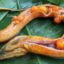 Resep Belut Balado: Nikmati Kelezatan Pedas Gurih Belut Resep Belut Balado: Nikmati Kelezatan Pedas Gurih Belut