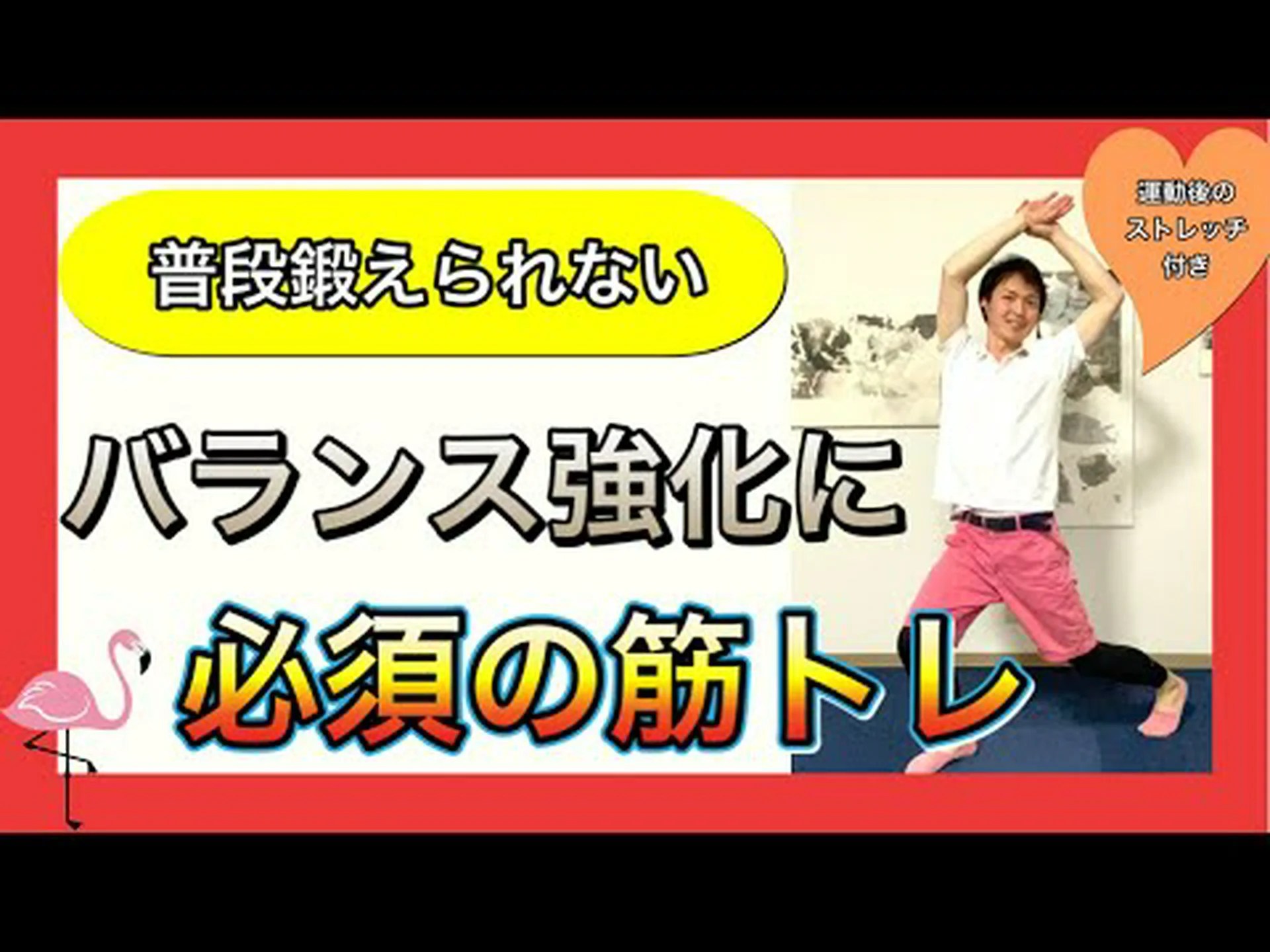 バランストレーニング – 7つの最良のオプションとヒント バランストレーニング – 7つの最良のオプションとヒント