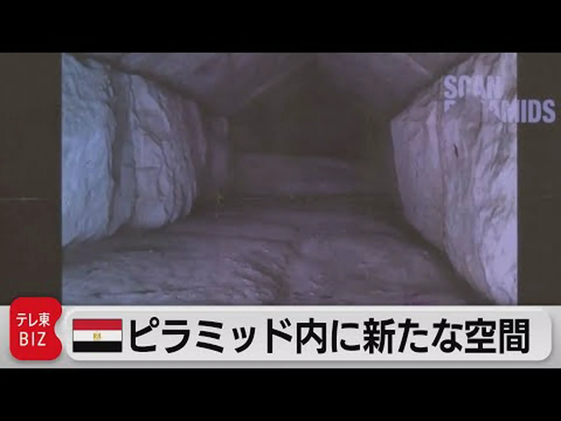 新しい食品ピラミッドを発見する 新しい食品ピラミッドを発見する