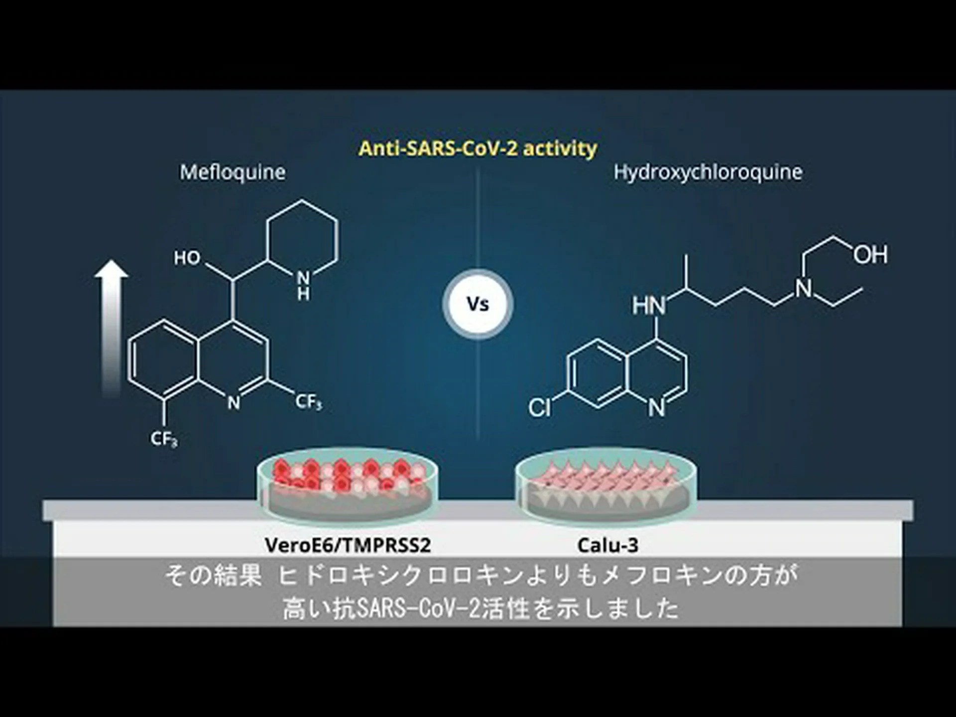 Anvisaは、新型コロナウイルス感染症に対するヒドロキシクロロキンとクロロキンの使用を示すものではないと警告 Anvisaは、新型コロナウイルス感染症に対するヒドロキシクロロキンとクロロキンの使用を示すものではないと警告