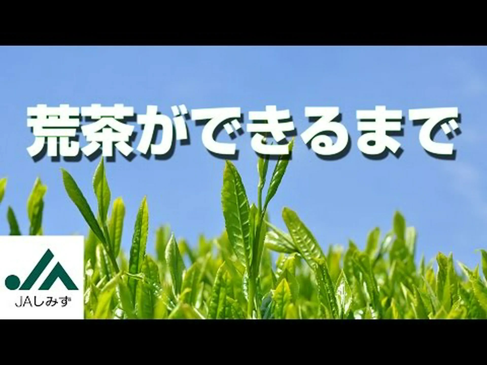ぐっすり眠れるお茶 – ベスト13、作り方とヒント ぐっすり眠れるお茶 – ベスト13、作り方とヒント