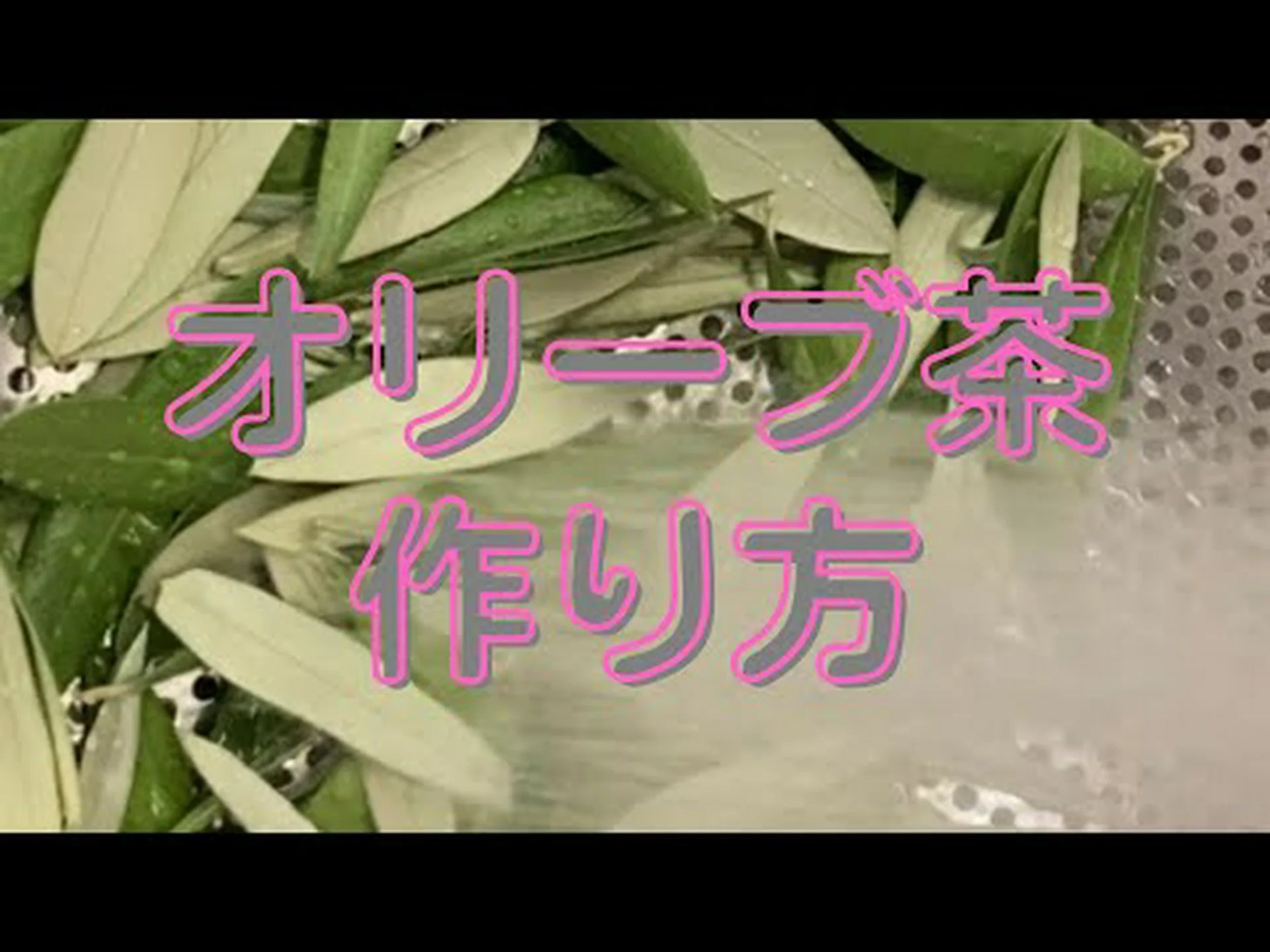 オリーブの木茶の効能と作り方 オリーブの木茶の効能と作り方