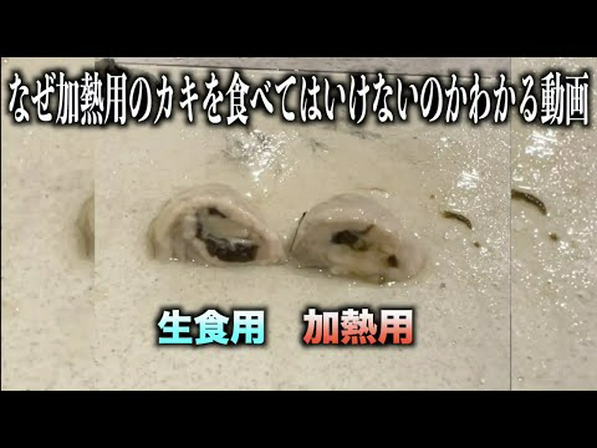 牡蠣の細菌により米国で3人が死亡、1人が入院、詳細はこちら 牡蠣の細菌により米国で3人が死亡、1人が入院、詳細はこちら