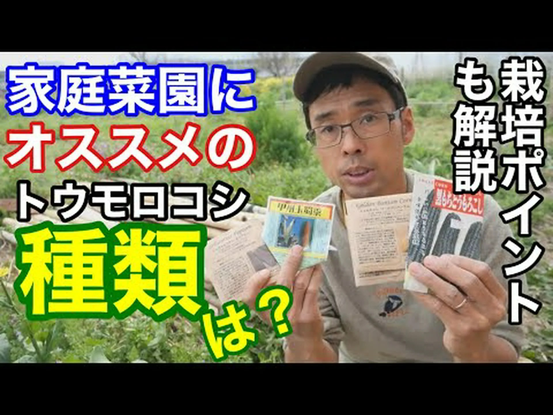 トウモロコシの利点 – その用途と特性 トウモロコシの利点 – その用途と特性