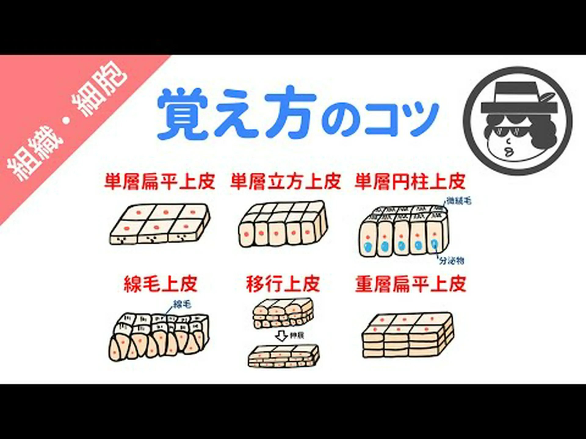 女性が顔に PMMA を塗布すると、製品が肺に移行 女性が顔に PMMA を塗布すると、製品が肺に移行