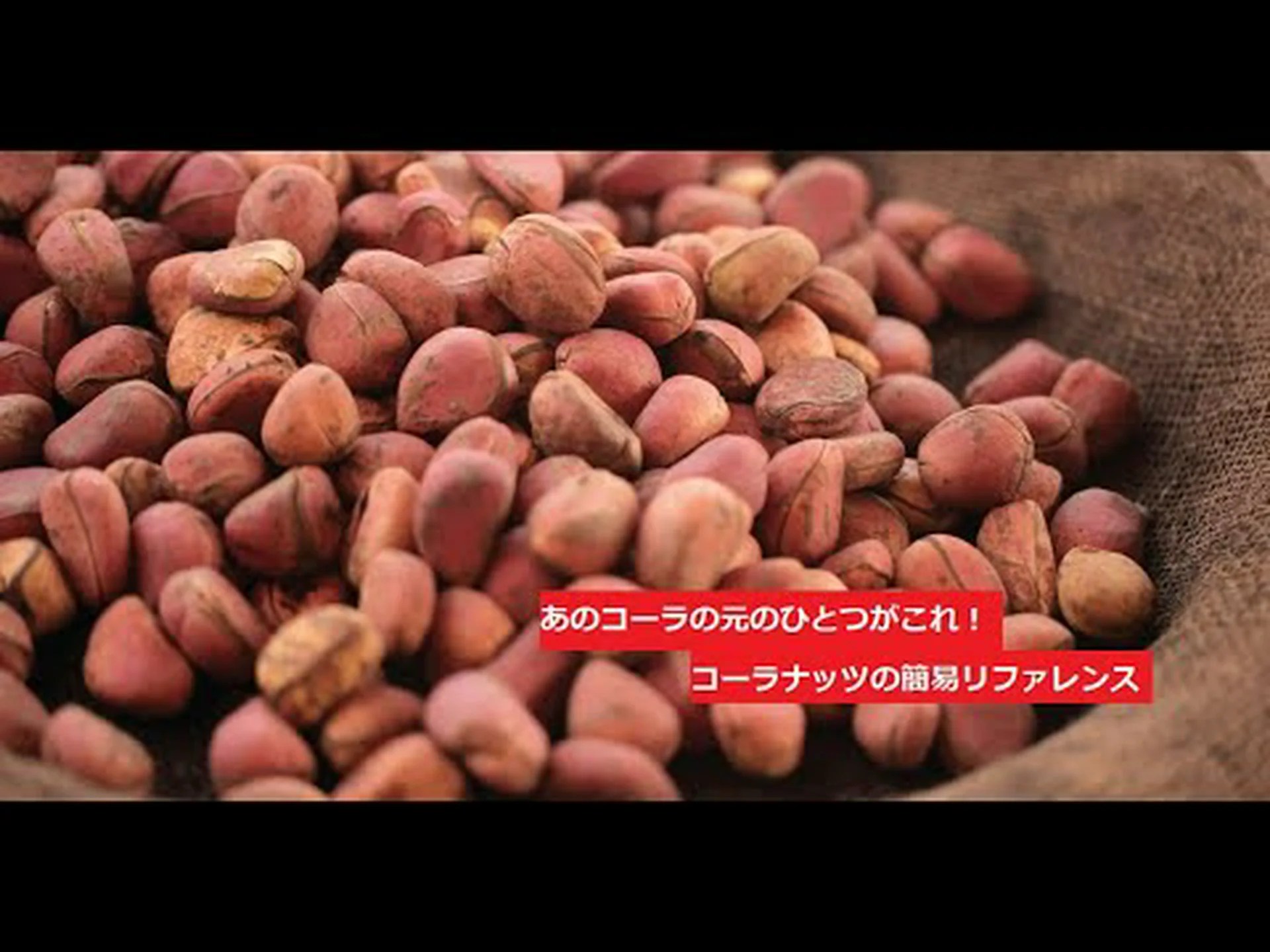 コーラナッツ:それは何ですか、何のためにあり、利点がありますか コーラナッツ:それは何ですか、何のためにあり、利点がありますか