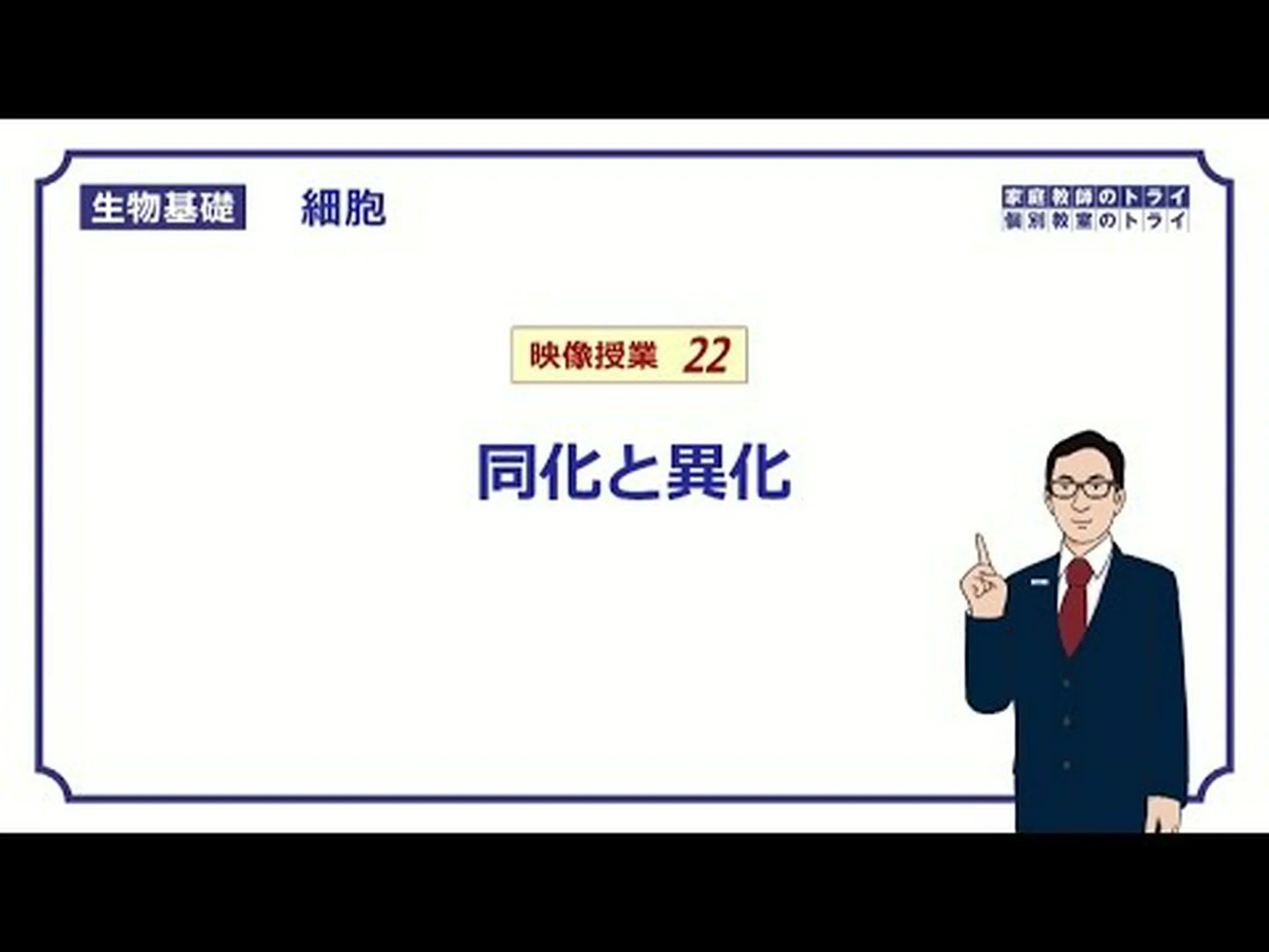 同化作用と異化作用とは何ですか? 同化作用と異化作用とは何ですか?
