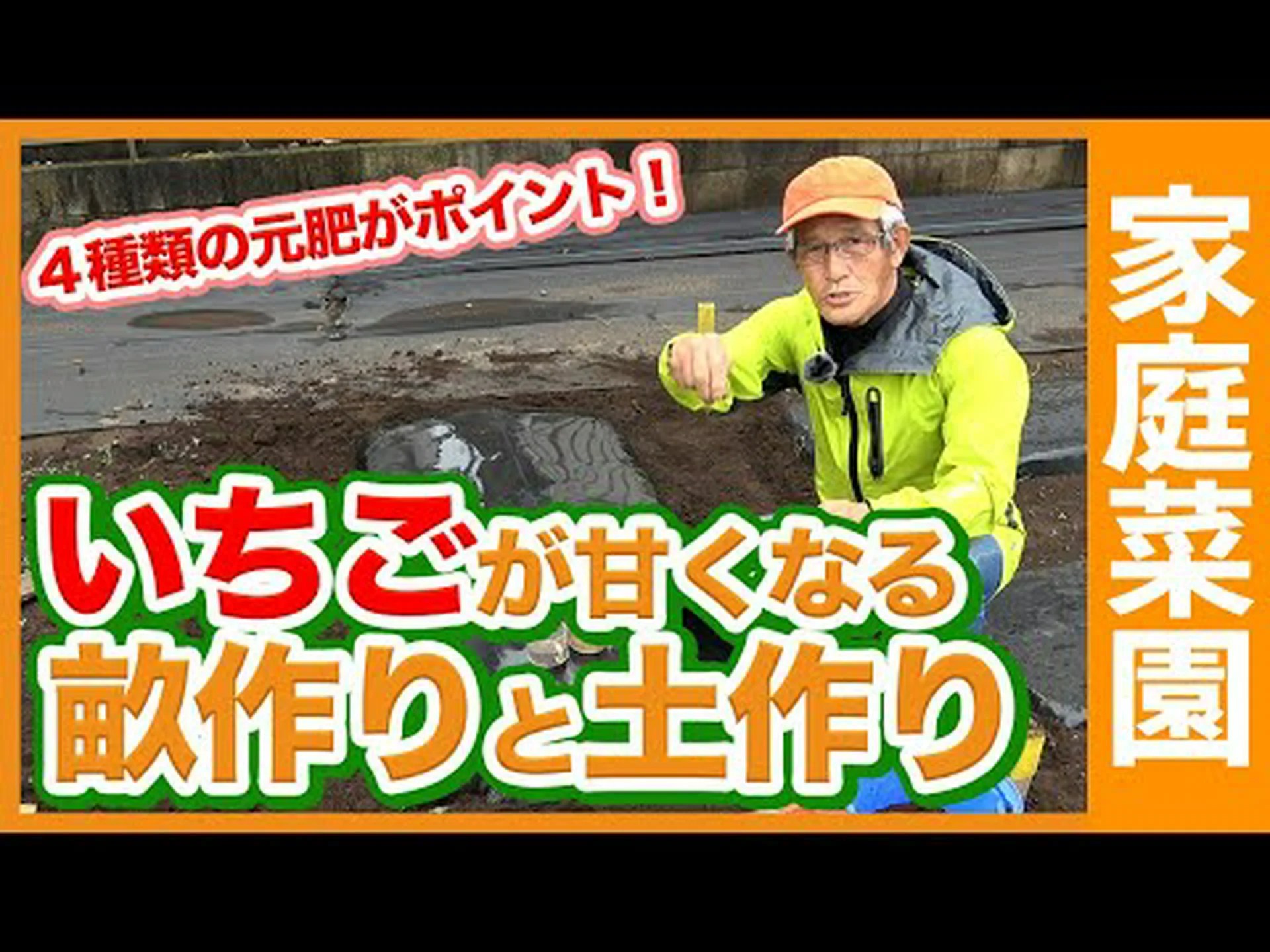 イチゴの利点 – その目的と使用方法 イチゴの利点 – その目的と使用方法
