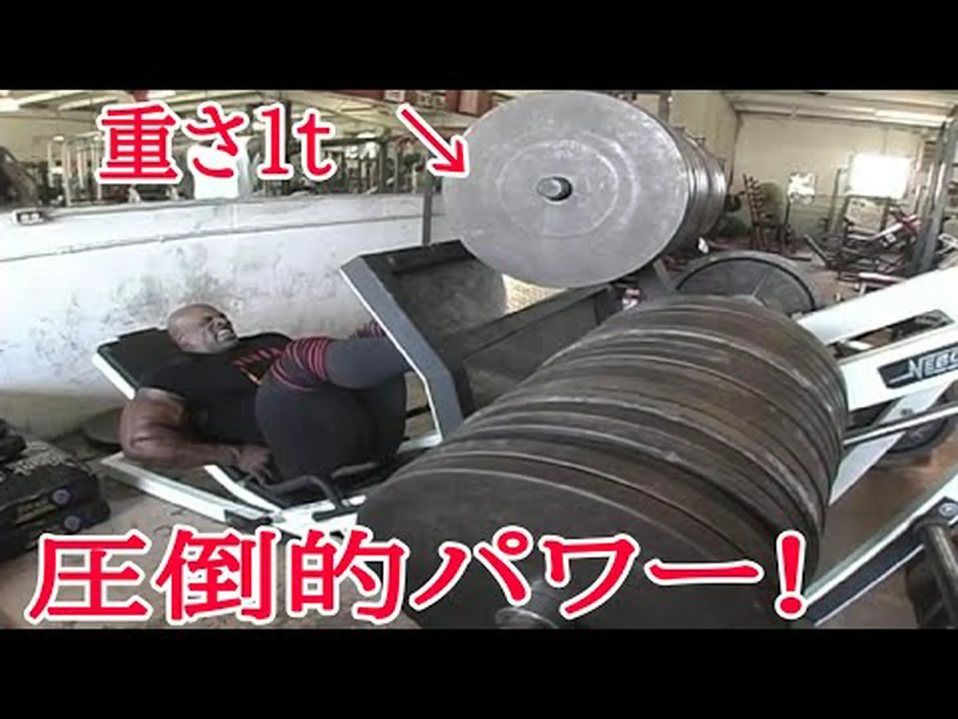 ボディビルダー ロニー コールマン – ダイエット、トレーニング、測定、写真、ビデオ ボディビルダー ロニー コールマン – ダイエット、トレーニング、測定、写真、ビデオ