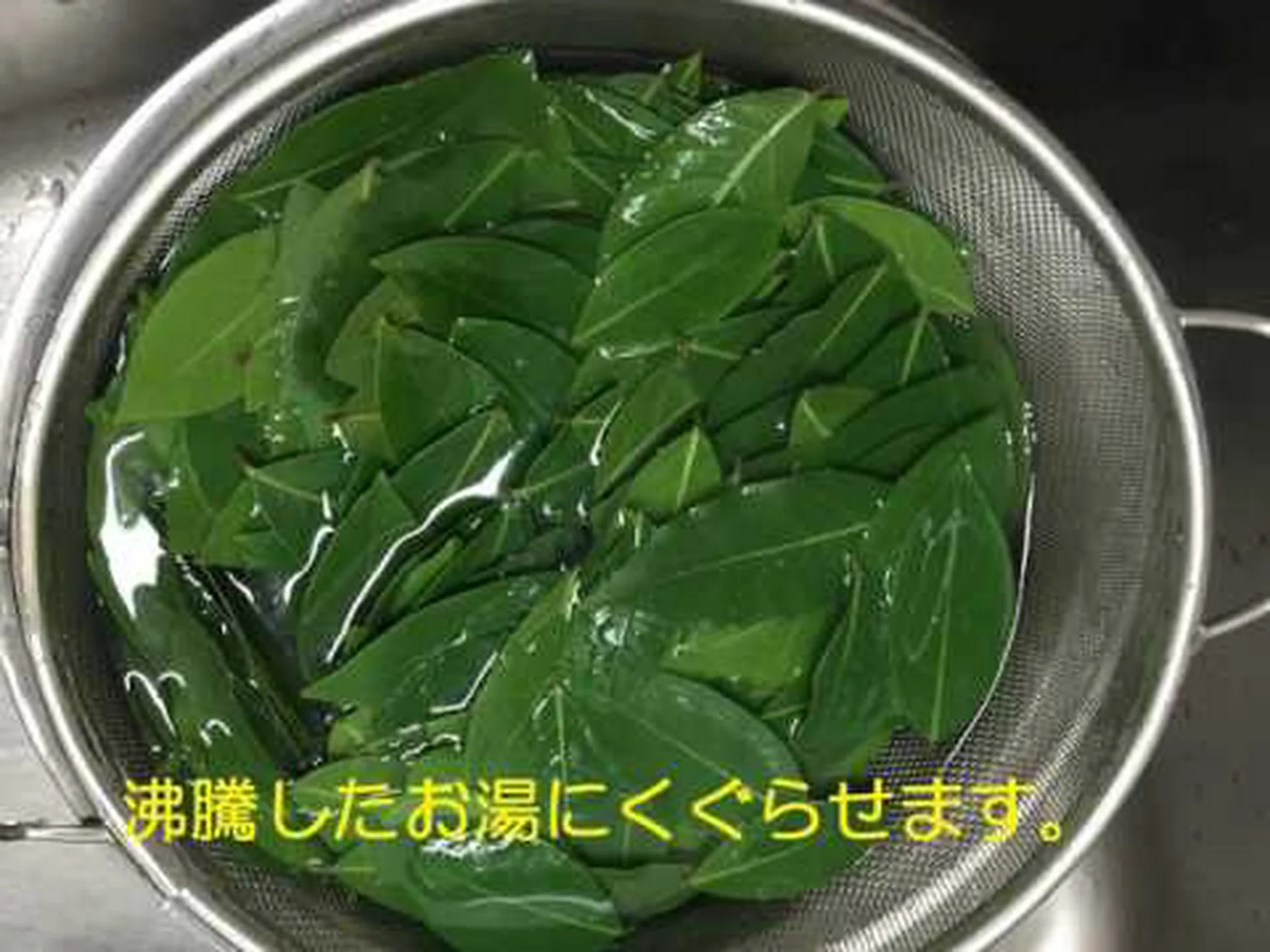月桂樹の葉は体重を減らすのに役立ちますか?それは何のためにあり、メリットがありますか 月桂樹の葉は体重を減らすのに役立ちますか?それは何のためにあり、メリットがありますか