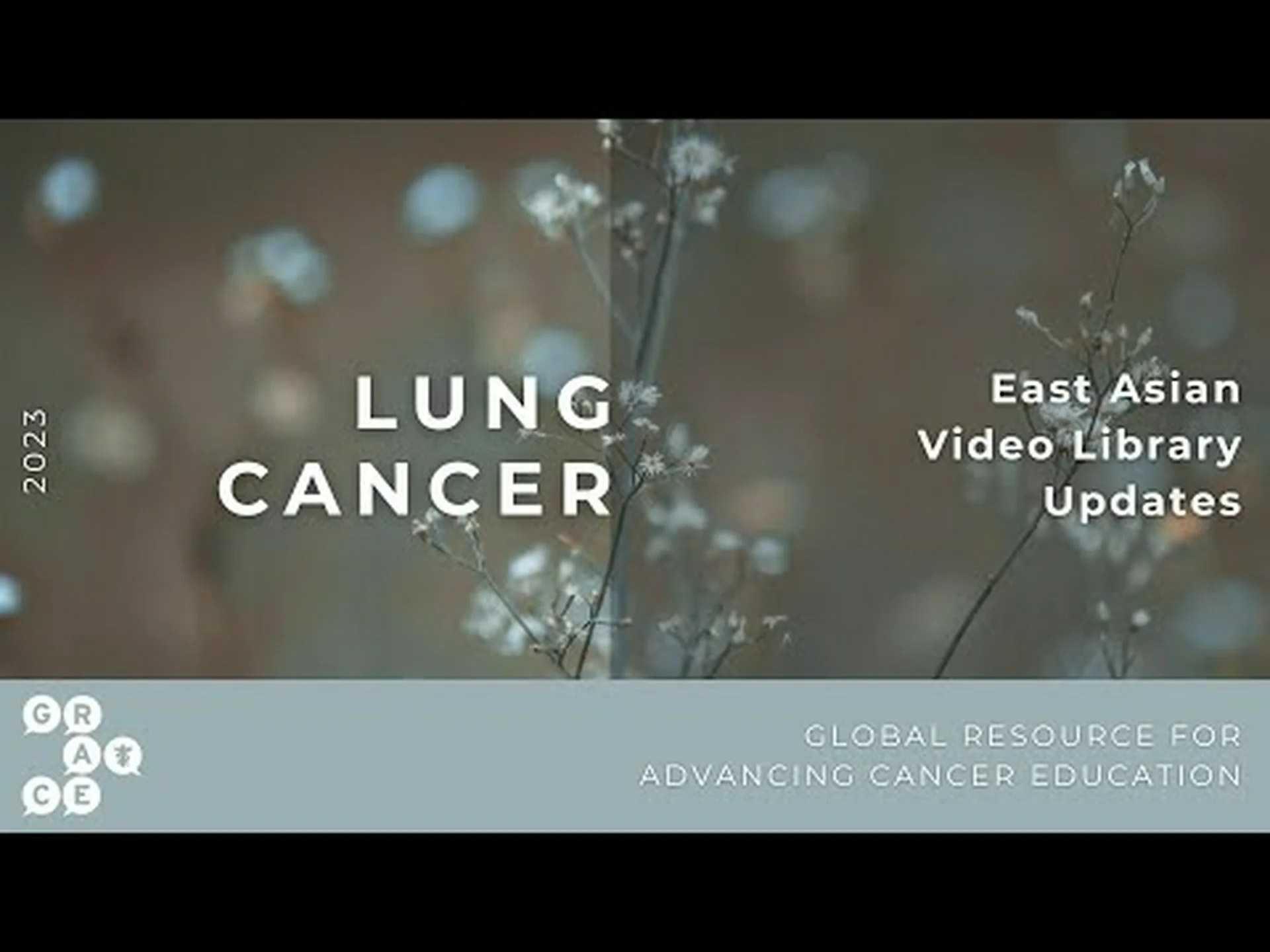 実験肉にはがん細胞が使われていますか?論争を理解する 実験肉にはがん細胞が使われていますか?論争を理解する