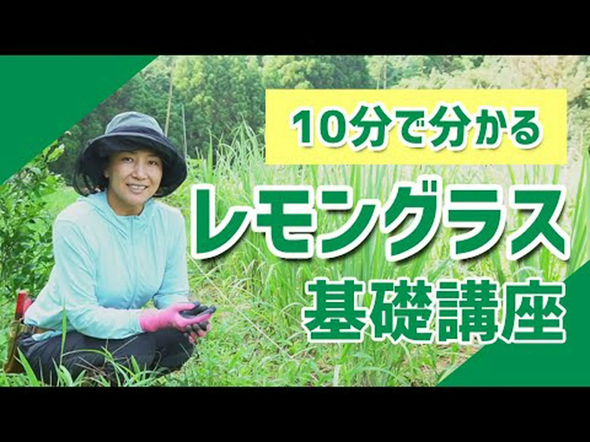 レモングラスティーの作り方 – メリットとヒント レモングラスティーの作り方 – メリットとヒント