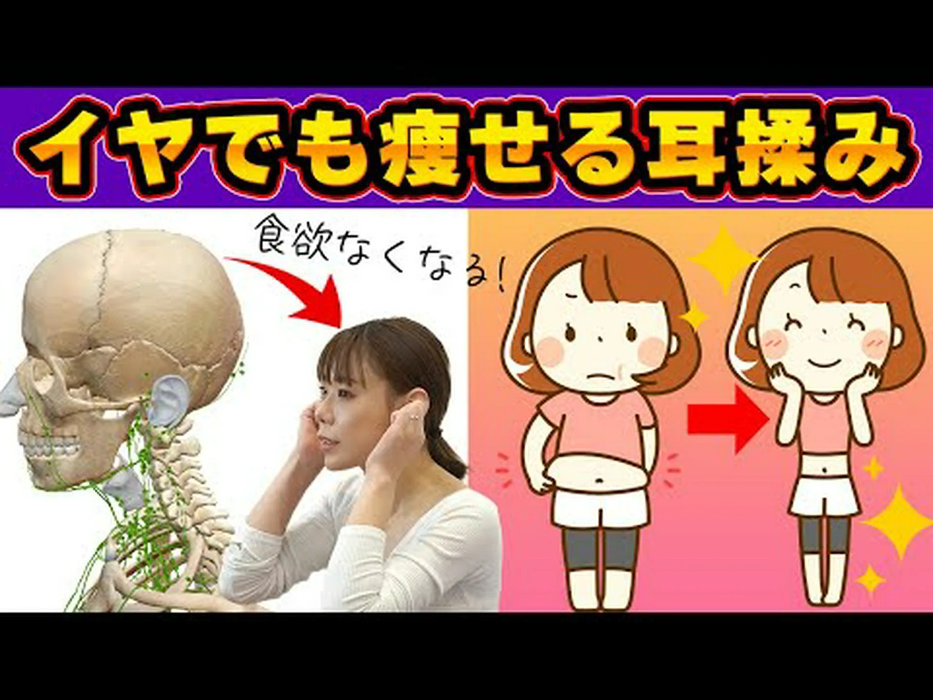 耳介療法が減量にどのように作用するか 耳介療法が減量にどのように作用するか