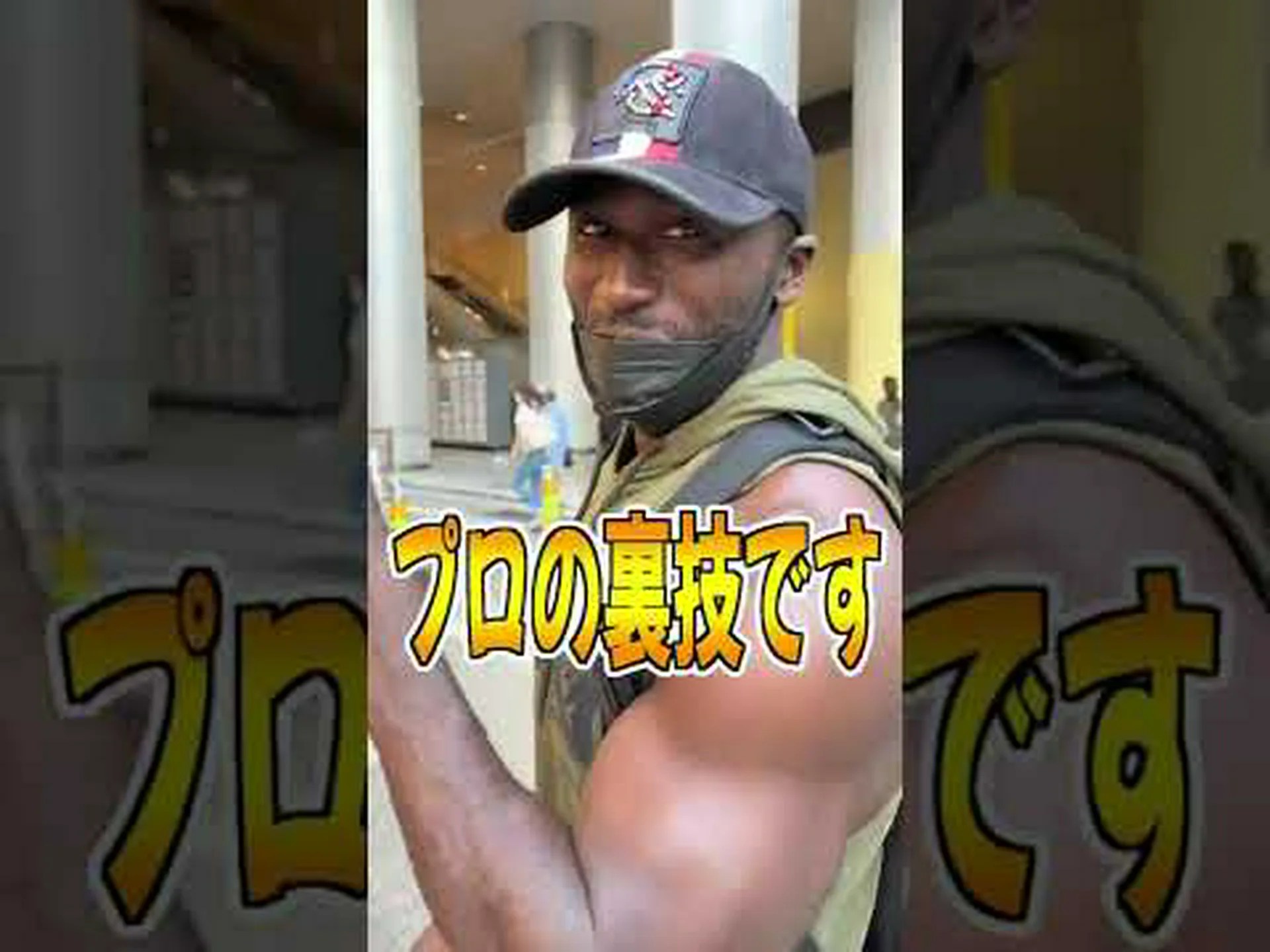 アボカドの利点: その目的と特性 アボカドの利点: その目的と特性