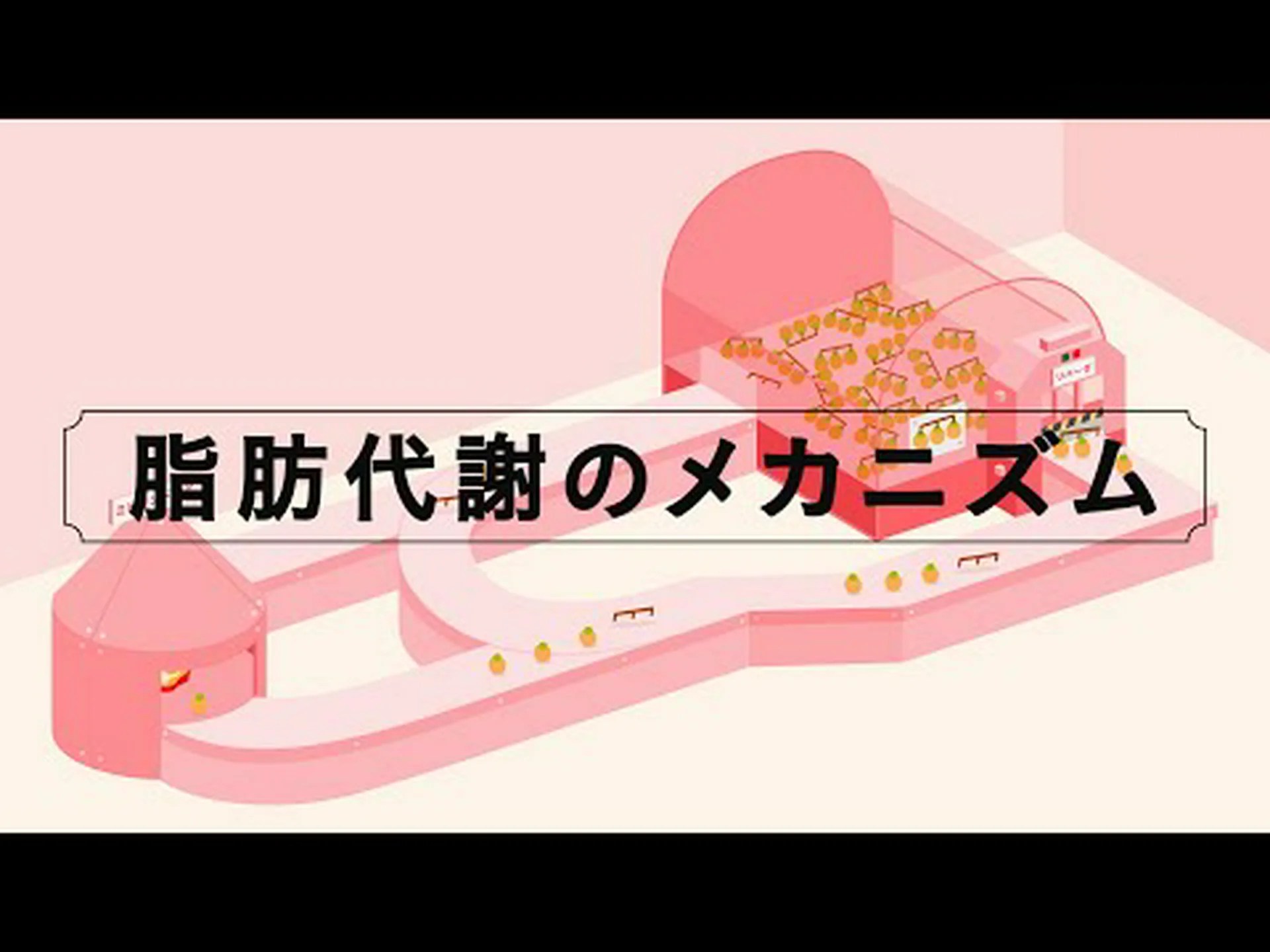 緑茶ダイエット – その仕組み、メニュー、ヒント 緑茶ダイエット – その仕組み、メニュー、ヒント