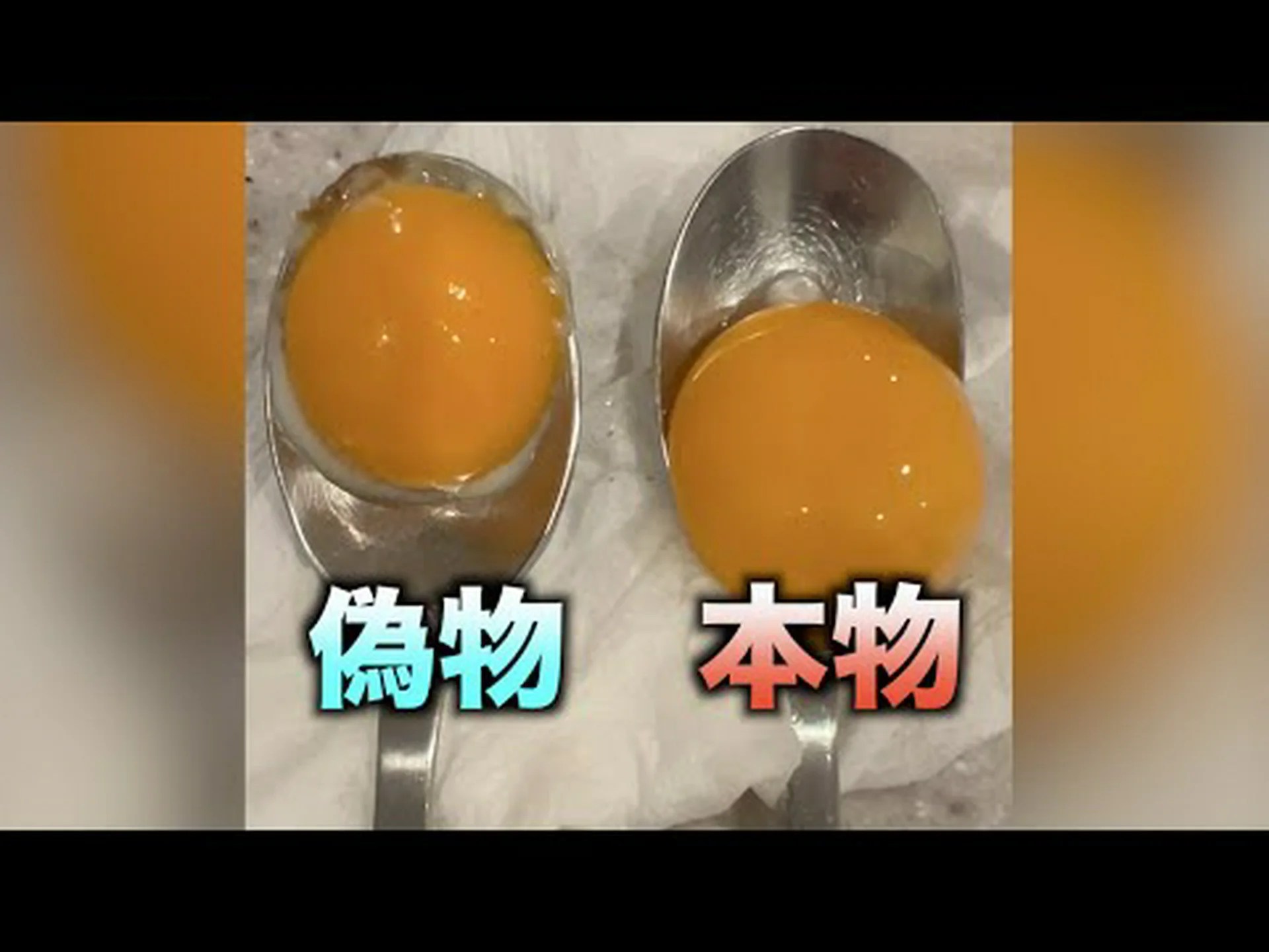 サンディの弁当がネット上で話題になったことに反応 サンディの弁当がネット上で話題になったことに反応