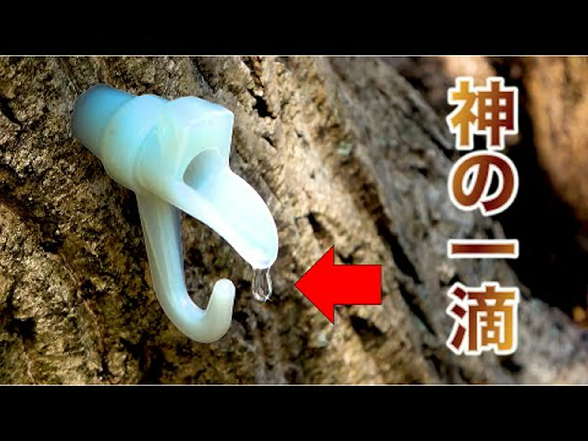 オニオンシロップ – それは何ですか、何のためにありますか、どのように摂取し、どのように作るか オニオンシロップ – それは何ですか、何のためにありますか、どのように摂取し、どのように作るか