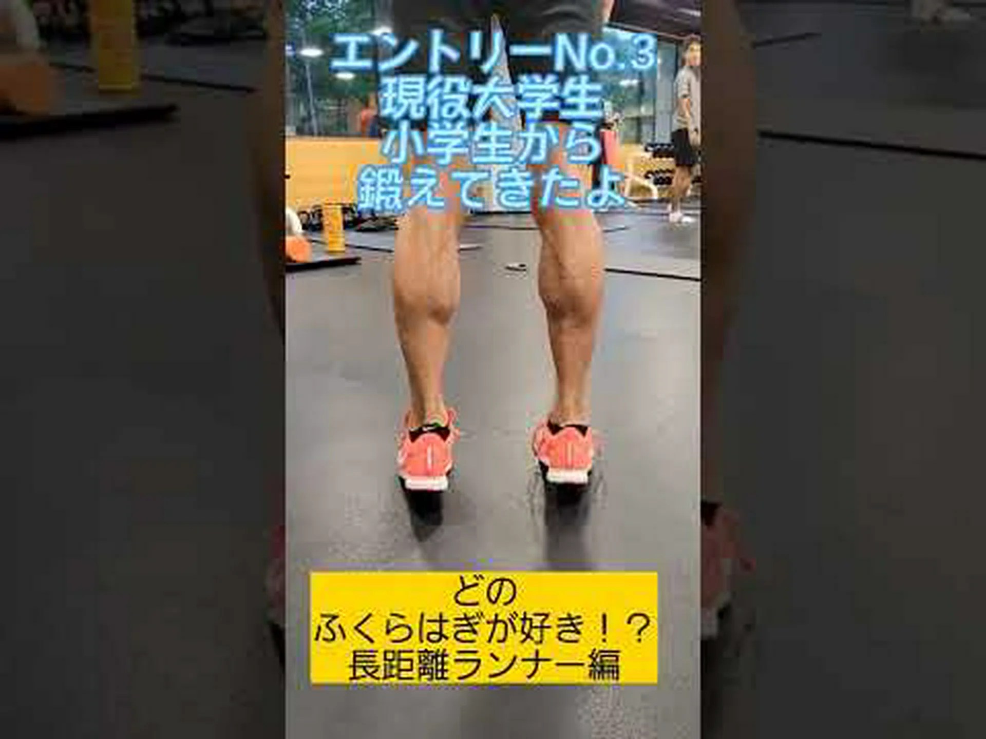 ふくらはぎの肥大化のための完全なトレーニングとヒント ふくらはぎの肥大化のための完全なトレーニングとヒント