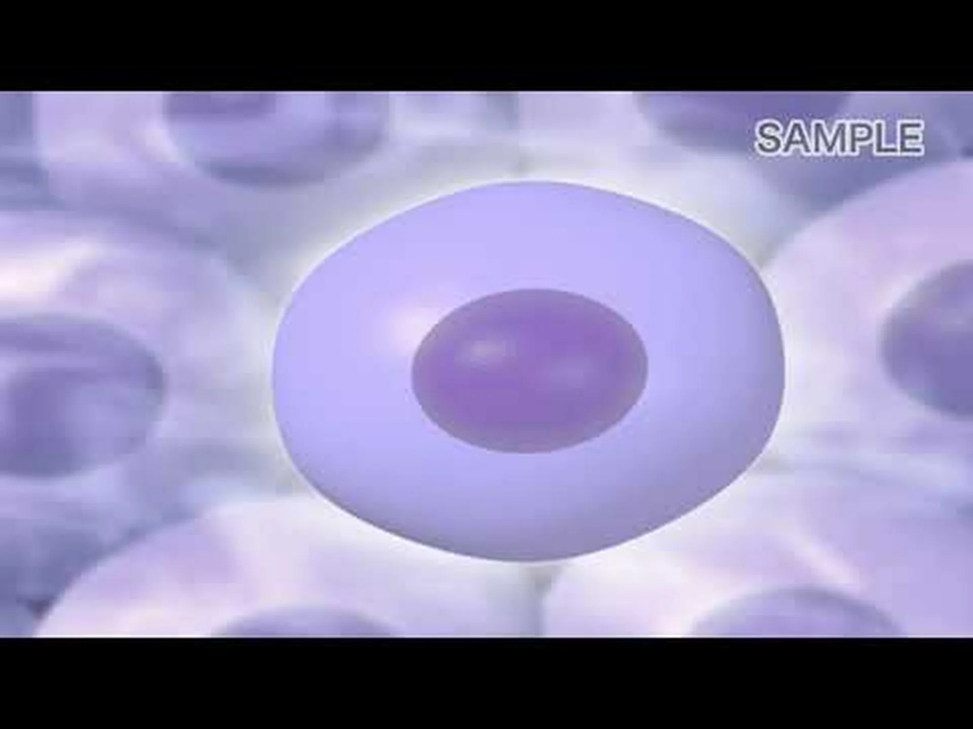 局所脂肪に対する酵素の応用 – その仕組み 局所脂肪に対する酵素の応用 – その仕組み