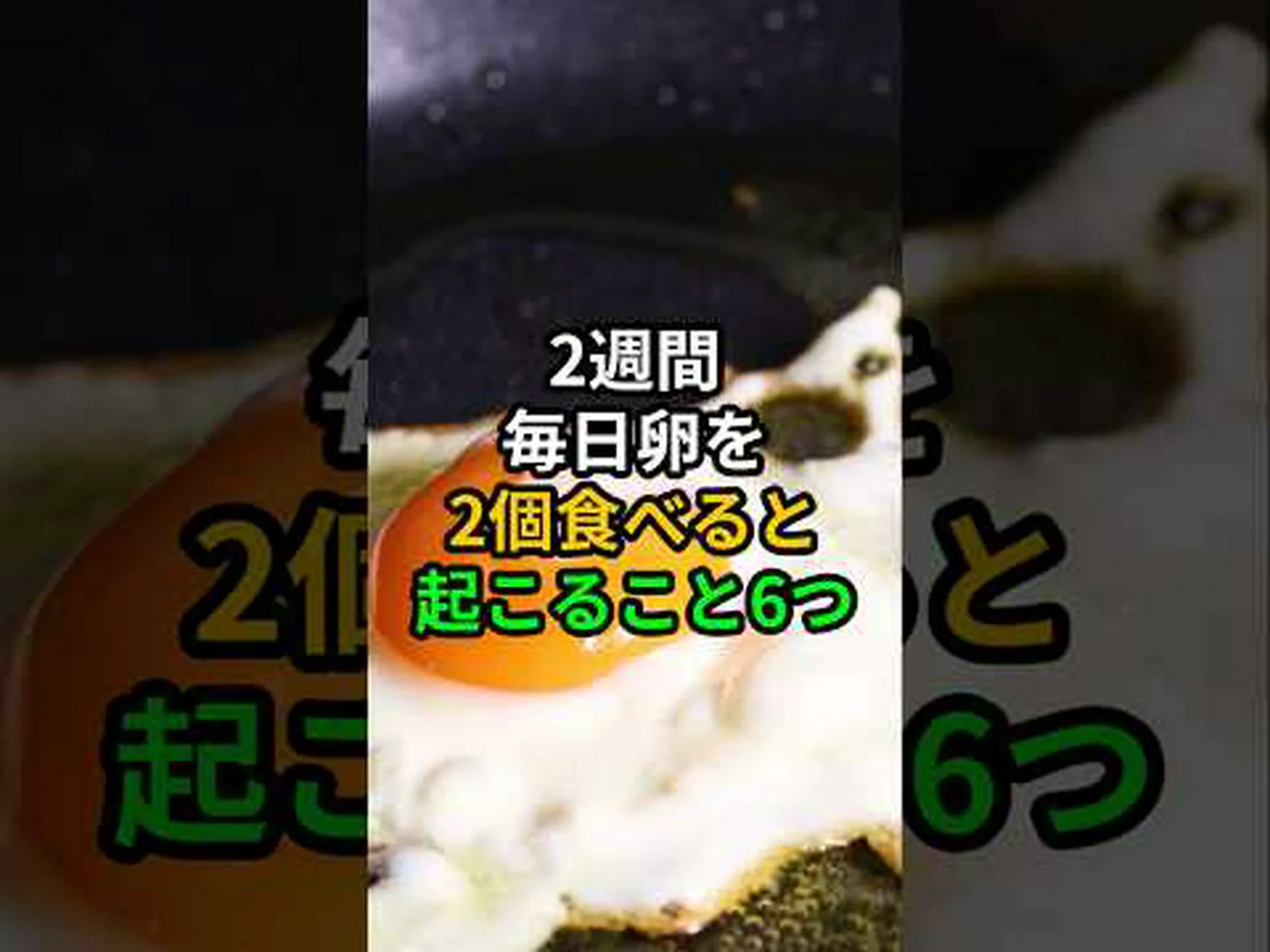もっと卵を食べるべき6つの理由 もっと卵を食べるべき6つの理由