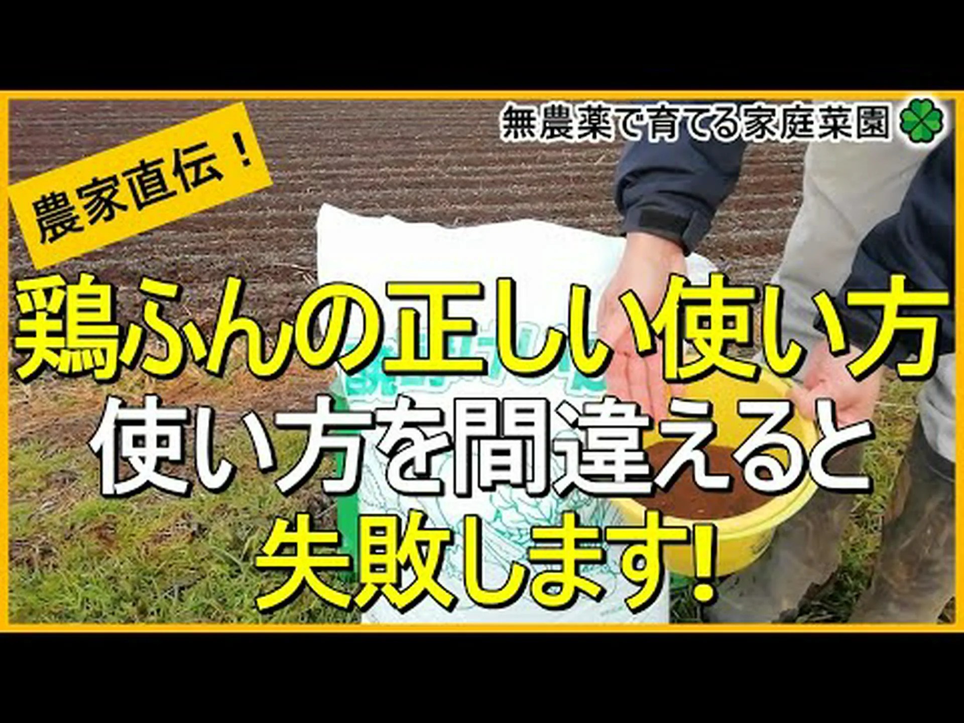 Chayote の利点 – その目的と使用方法 Chayote の利点 – その目的と使用方法