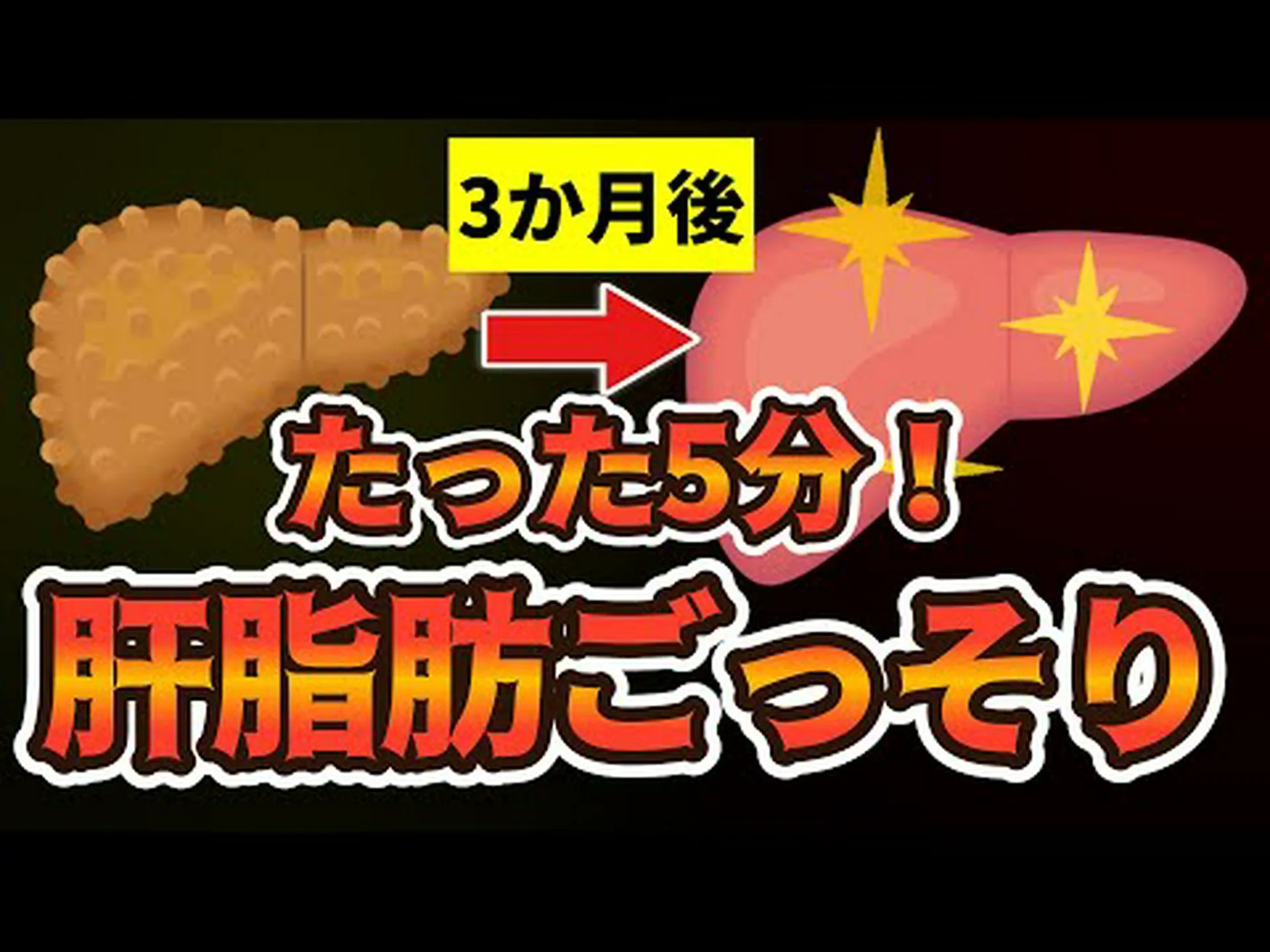 脂肪肝のための12のお茶 – 最良の選択肢とヒント 脂肪肝のための12のお茶 – 最良の選択肢とヒント